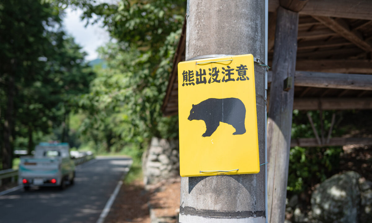 Ours Japon