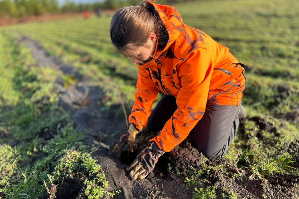 Plantation de haies FDC 40