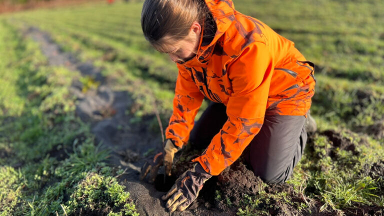 Les chasseurs des Landes plantent des haies avec les lycéens
