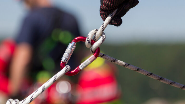 Un chien chute de 20 mètres: il est sauvé in extremis