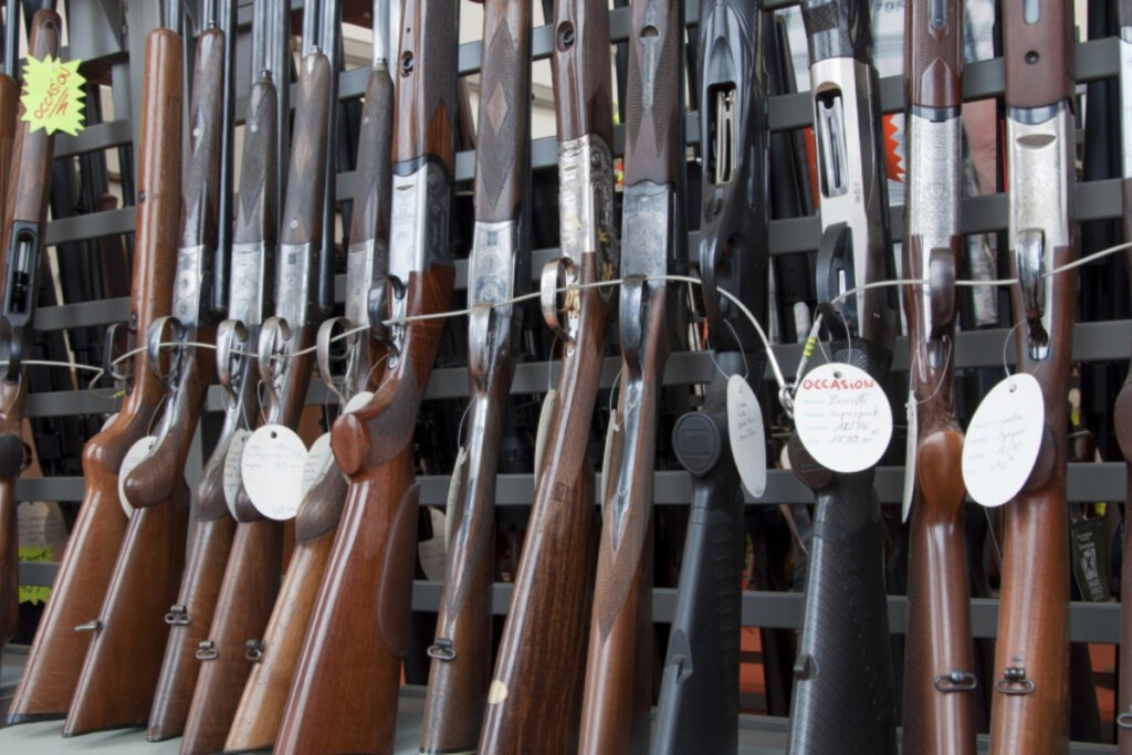 Râtelier armes de chasse
