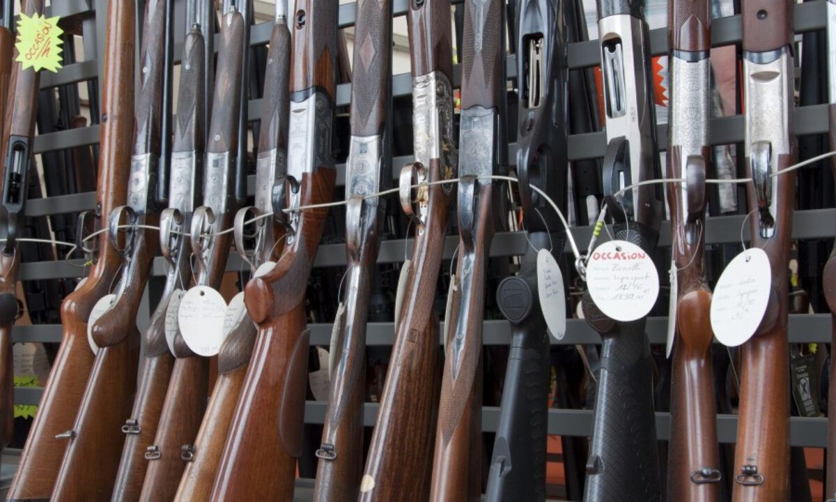 Râtelier armes de chasse
