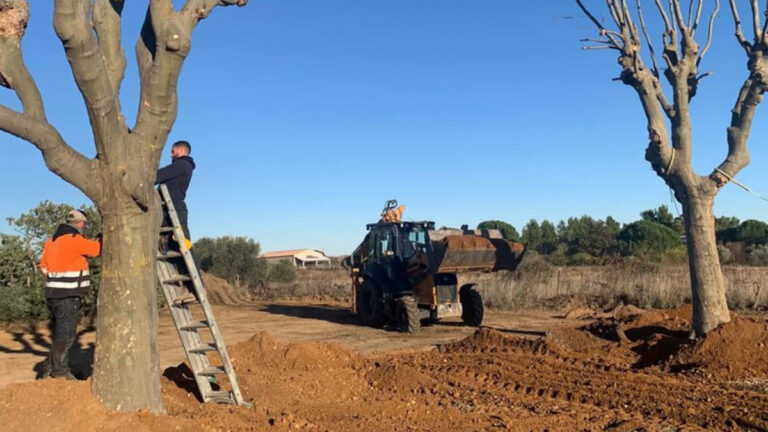 Une commune de l&rsquo;Hérault mise sur la chasse pour préserver ses espaces naturels