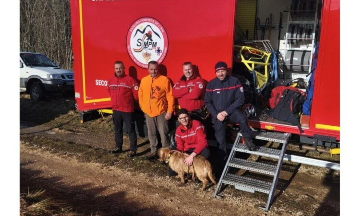 Sauvetage d'un basset fauve de Bretagne par les pompiers de l'Ain