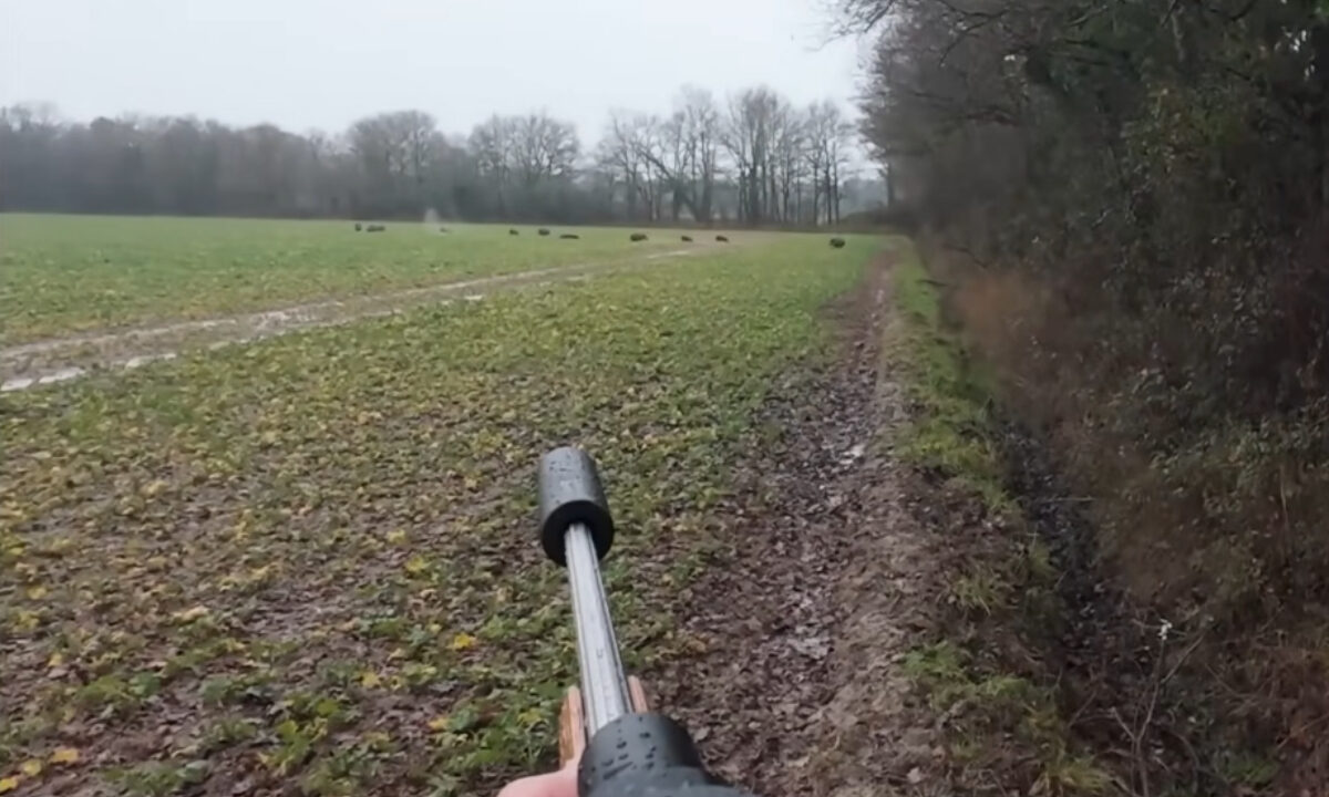 Triplé sur une compagnie de sangliers