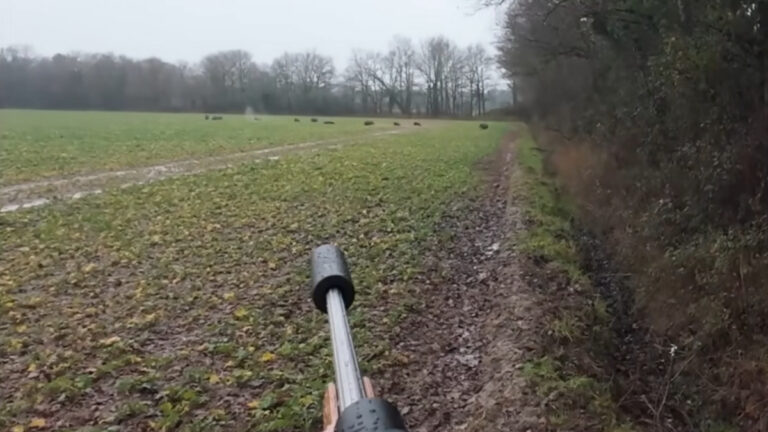 11 sangliers en battue dont un keiler bien armé et un triplé pour ce jeune solognot !