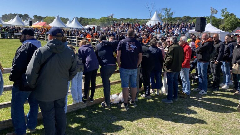 Sud Traditions 2026 : le salon qui rassemble chasseurs, pêcheurs et familles au cœur de la Provence