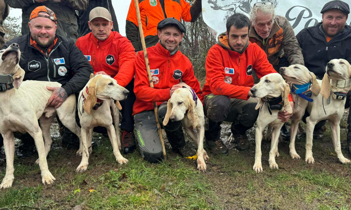 Willy Berdeil et ses porcelaines vainqueur coupe de France sur sanglier 2026