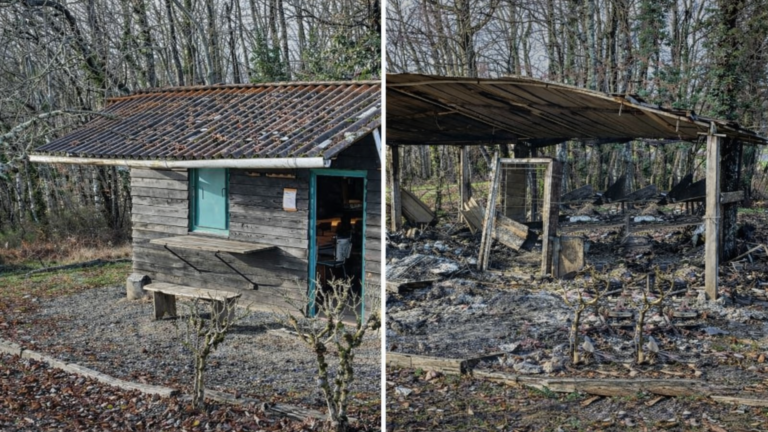 Dordogne : leur cabane incendiée, les chasseurs lancent une cagnotte