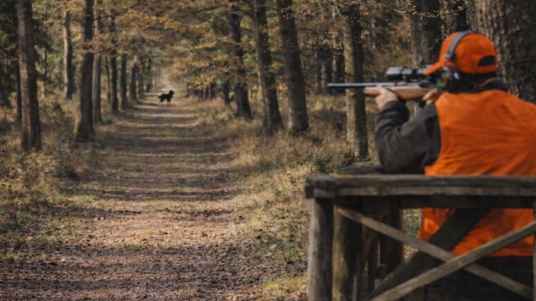 Loup tué par un chasseur dans le Cantal : au-delà de l’erreur, le contrôle du tir