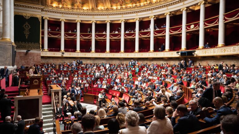 Anne Le Strat et financements de l’OFB : le groupe Chasse interpelle Olivier Thibault