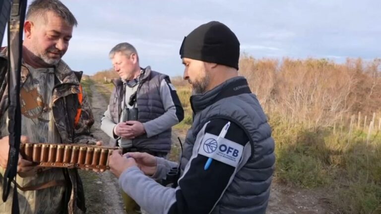 Financement de l’OFB : les chasseurs payent-ils vraiment 50 millions d’euros par an?