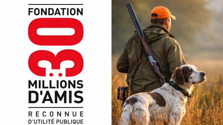 Élections municipales & chasse : réponse à 30 Millions d’Amis