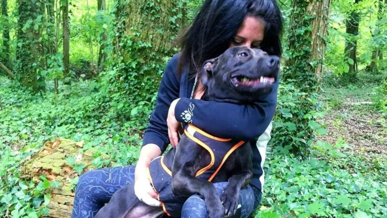 Procès Pilarski : Ellul évoque enfin la responsabilité de Curtis