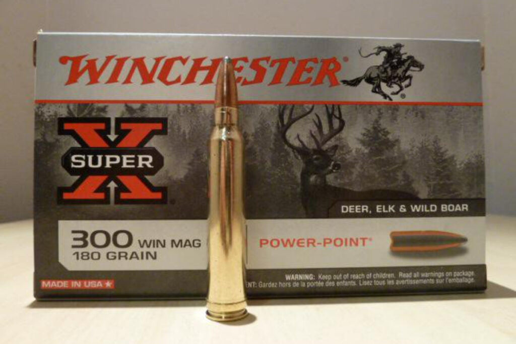 300 Winchester Magnum