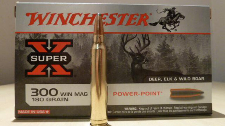 Le .300 Win Mag est-il vraiment adapté à la chasse en battue ?