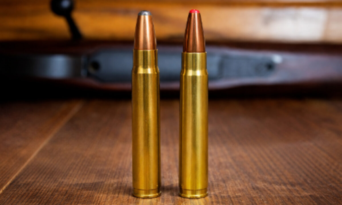 35 Whelen vs 9,3x62 mm