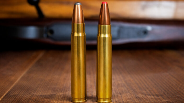 35 Whelen vs 9,3x62 mm