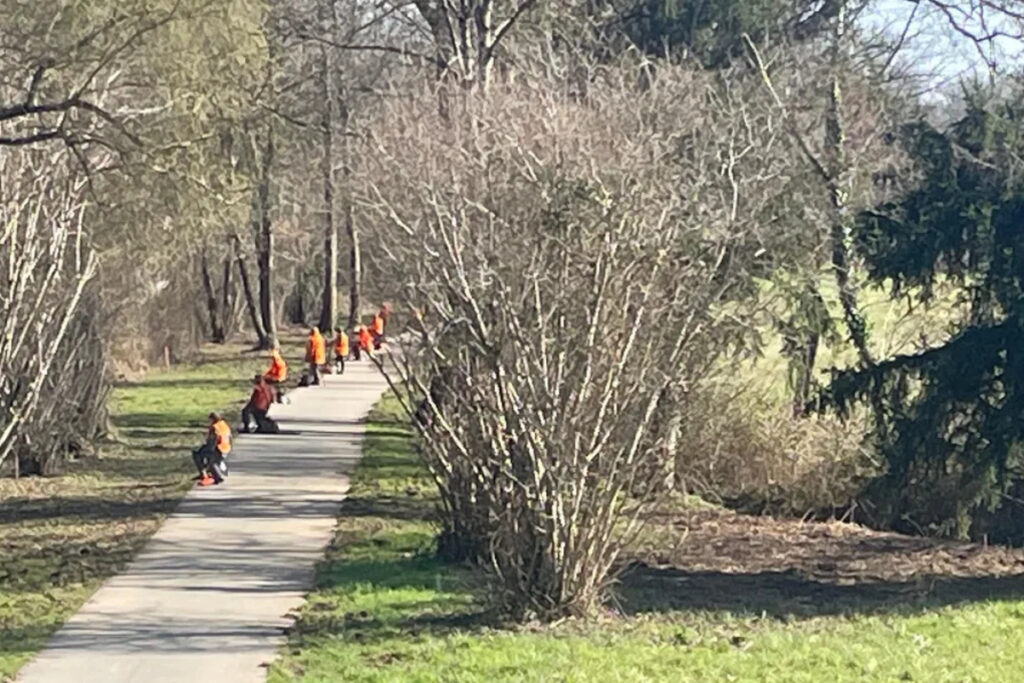 Battue sangliers Périgueux
