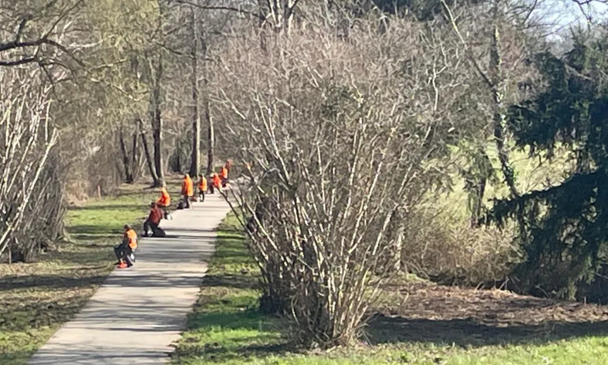 Battue sangliers Périgueux