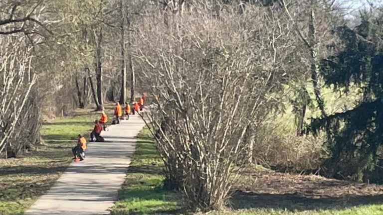Battue géante à Périgueux: 130 chasseurs et 20 louvetiers prélèvent 38 sangliers !