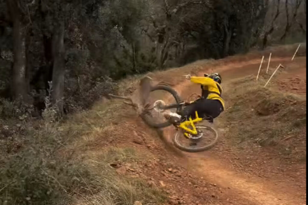 Collision VTT chevreuil