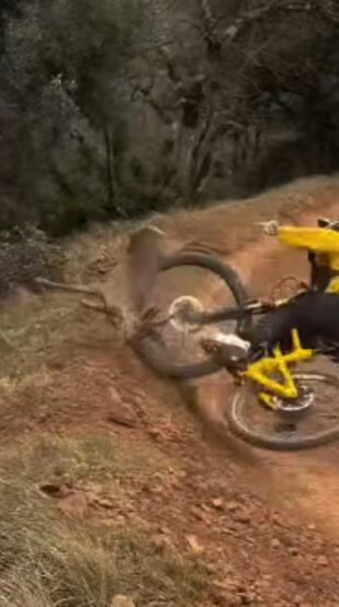 Collision VTT chevreuil