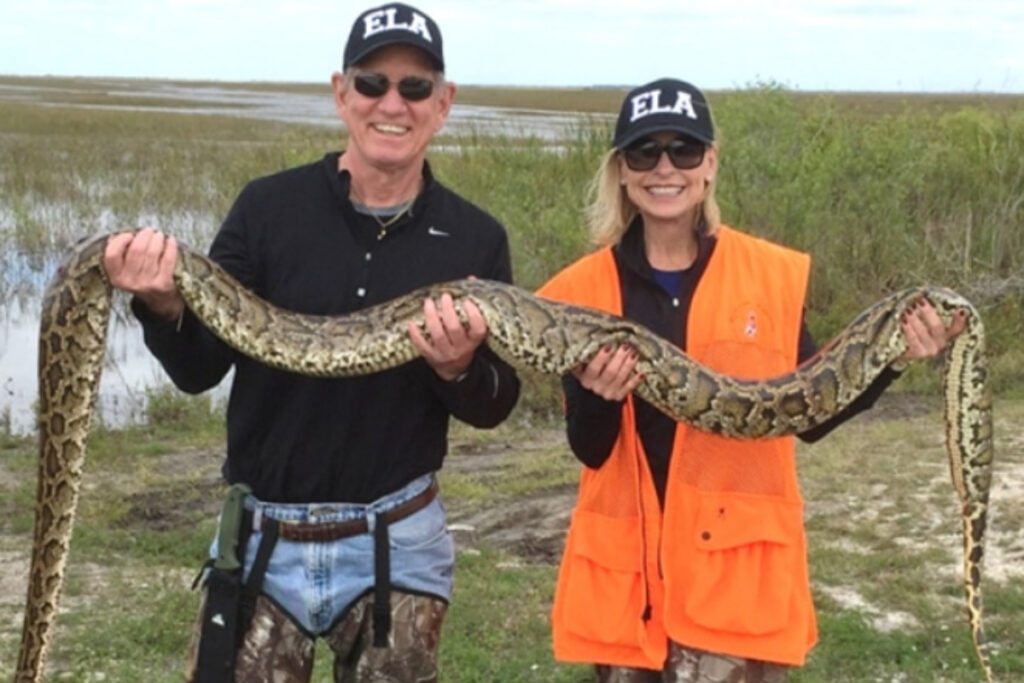 Concours de chasse aux pythons birmans en Floride