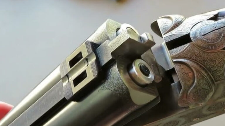 9,3x74R : le patron des express face aux sangliers et cervidés