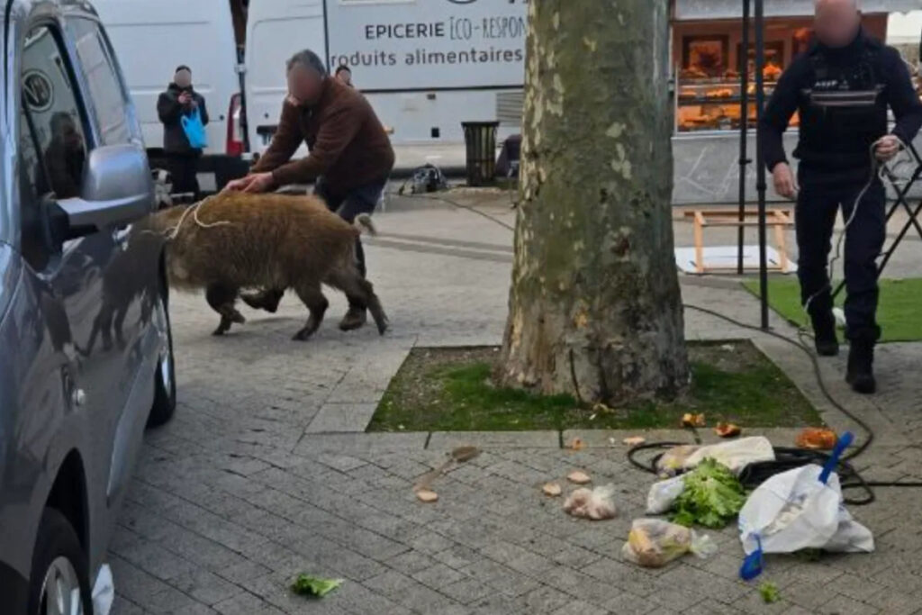 Laie sur le marché d'Issoudun (Indre)