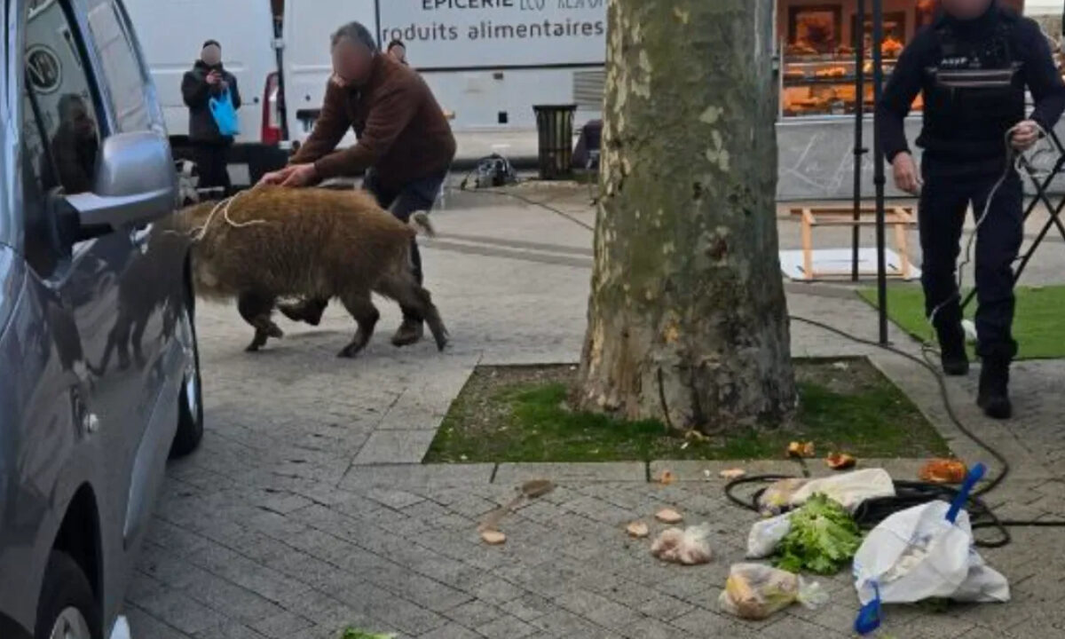Laie sur le marché d'Issoudun (Indre)
