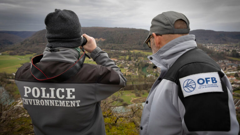 OFB : pourquoi Willy Schraen demande que les chasseurs récupèrent leur argent ?