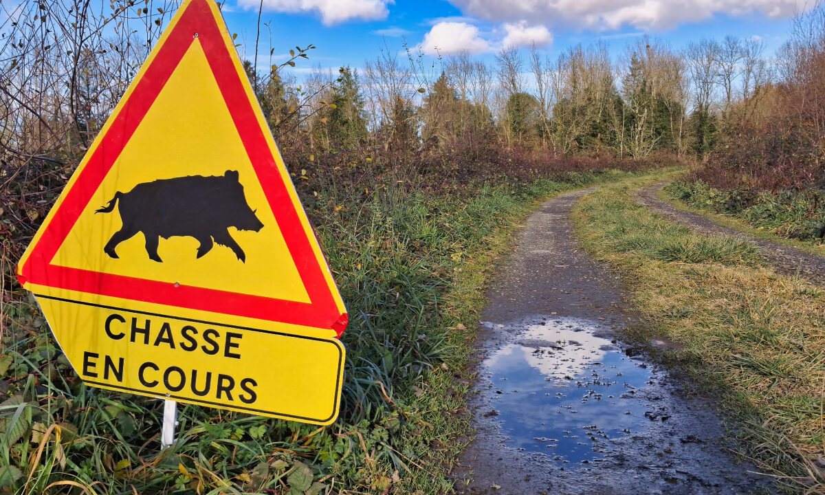 Panneau chasse en cours (