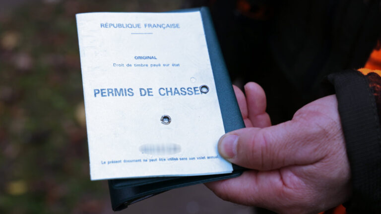 Chasseur sans validation ni assurance : six mois de prison ferme confirmés