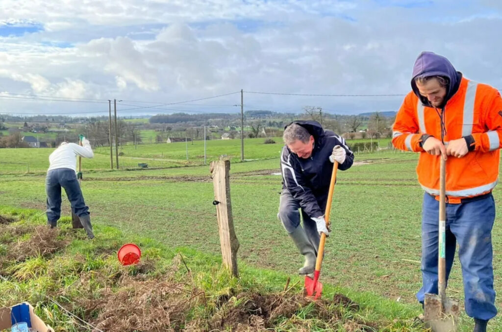 Plantation de haies par les chasseurs de Haute-Garonne