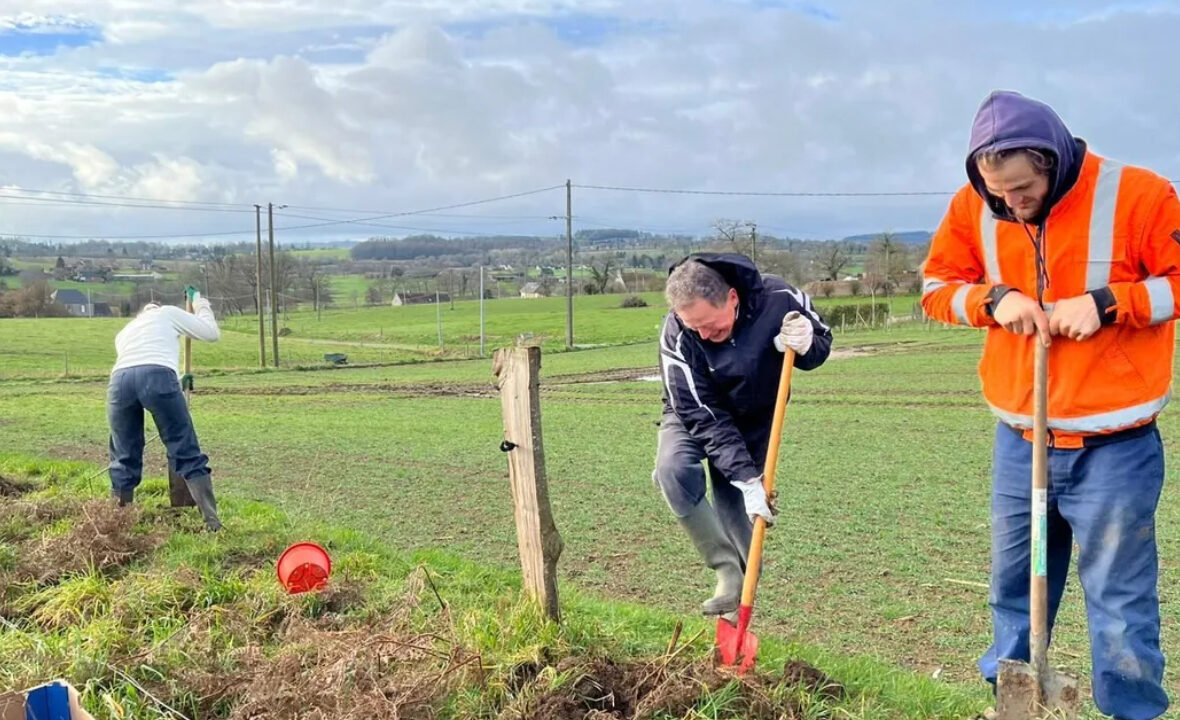 Plantation de haies par les chasseurs de Haute-Garonne