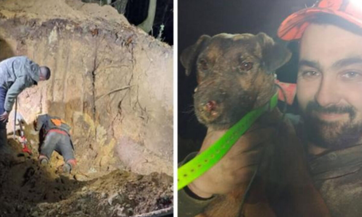 Quentin et son chien Sako