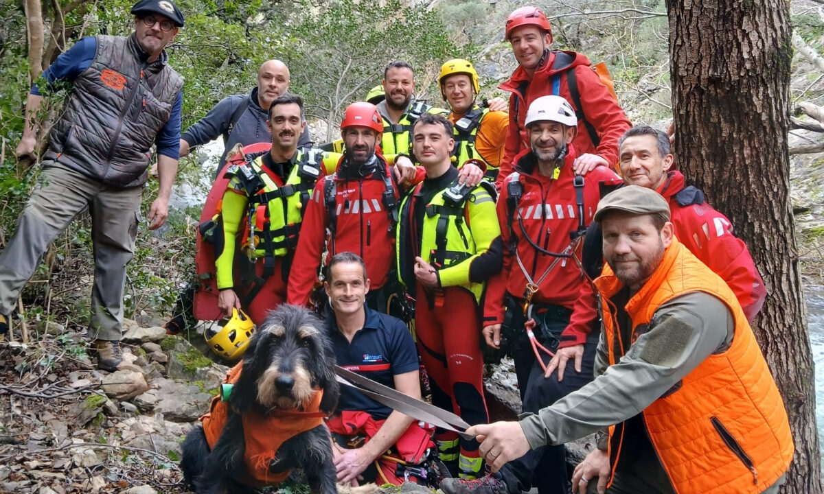 Sauvetage de la chienne Suchi dans l'Hérault