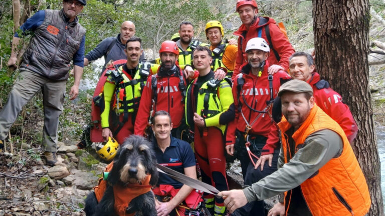 Une chienne de chasse sauvée par les pompiers après une nuit sur une paroi rocheuse