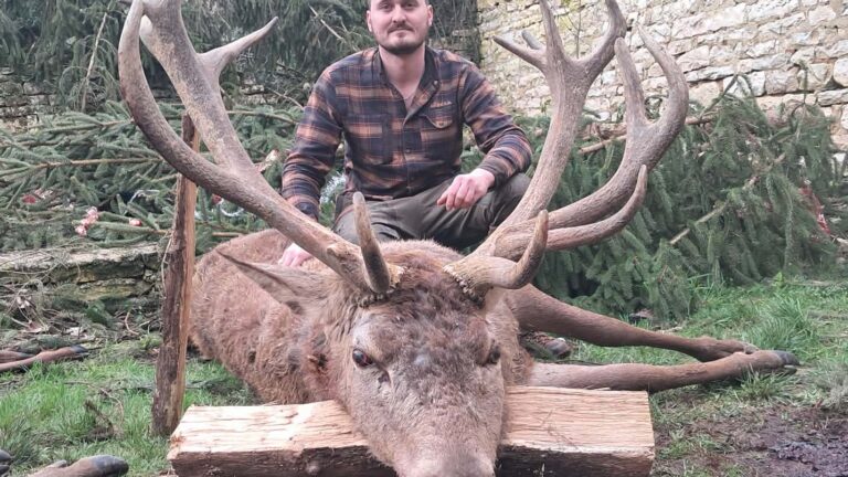 Haute-Marne : un cerf 18 cors de 264 kg prélevé pour la fermeture