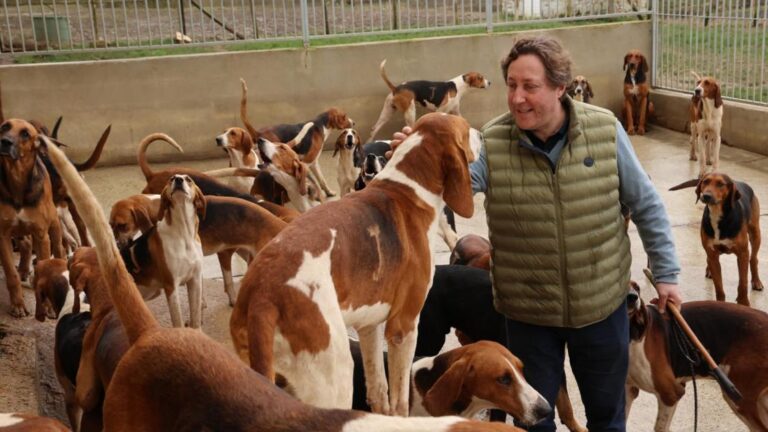 Le procès de Christophe Ellul disculpe définitivement la vènerie