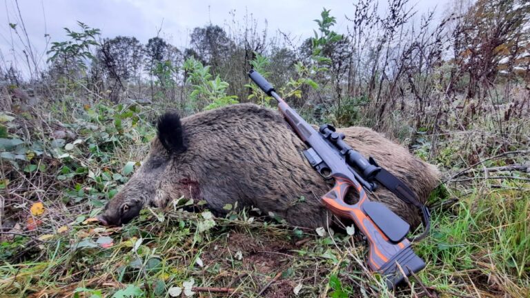 Crosse KKC : “Un prolongement du bras pour le chasseur” selon Julien Gingembre
