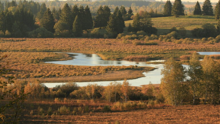 ReZo Humide : quand les chasseurs restaurent les zones humides du Doubs