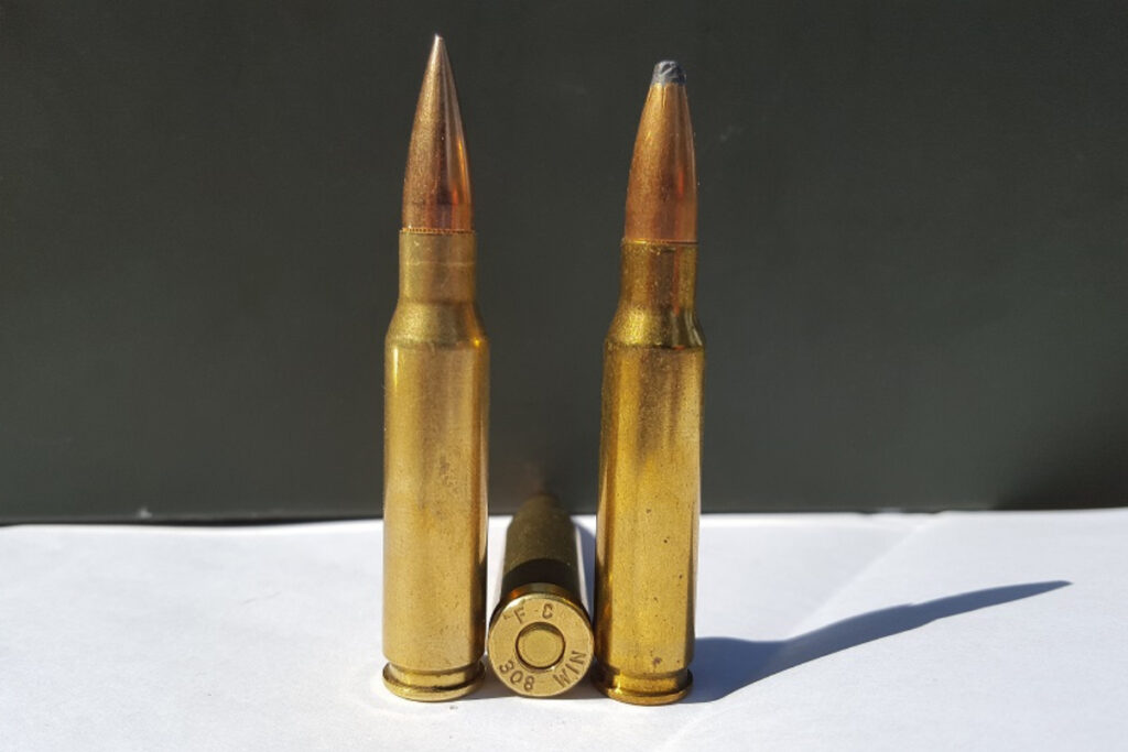 .308 Winchester