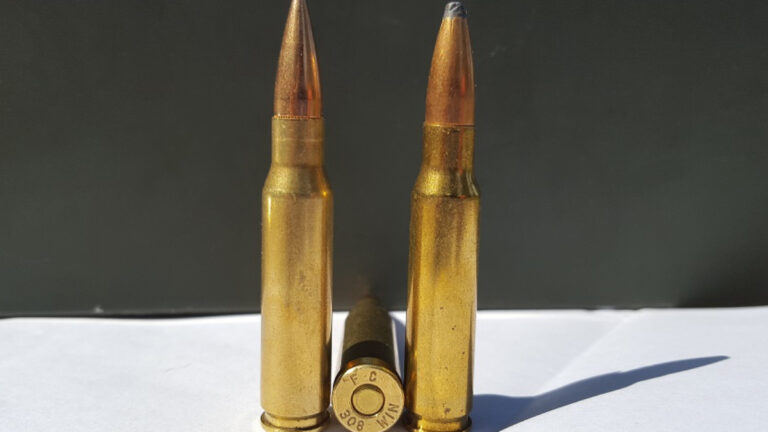 La .308 Winchester : compacte, précise et redoutablement efficace