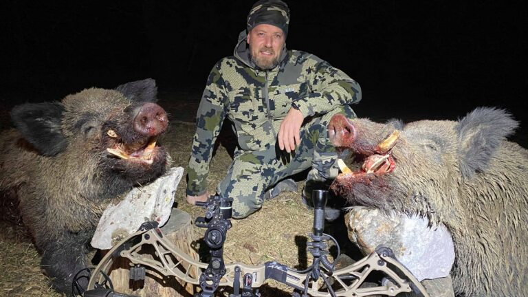 Chasse à l’arc : pourquoi une flèche pénètre parfois mieux qu’une balle?