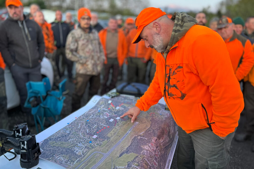 Battue au sanglier aéroport de Biarritz