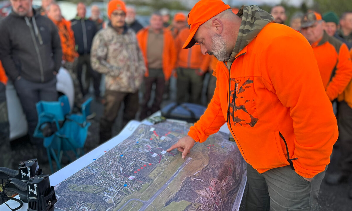 Battue au sanglier aéroport de Biarritz