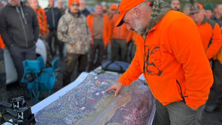 Aéroport de Biarritz : une battue d’ampleur pour 16 sangliers prélevés