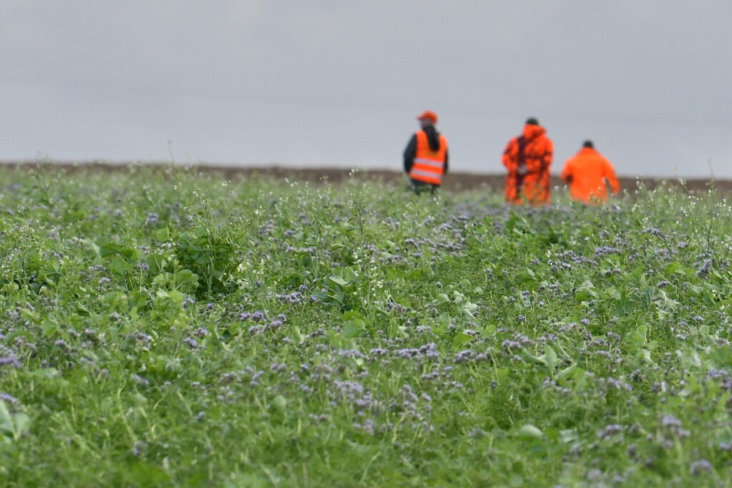 Couverts faunistiques FDC 59